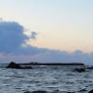 Meet your Posher, Janelle